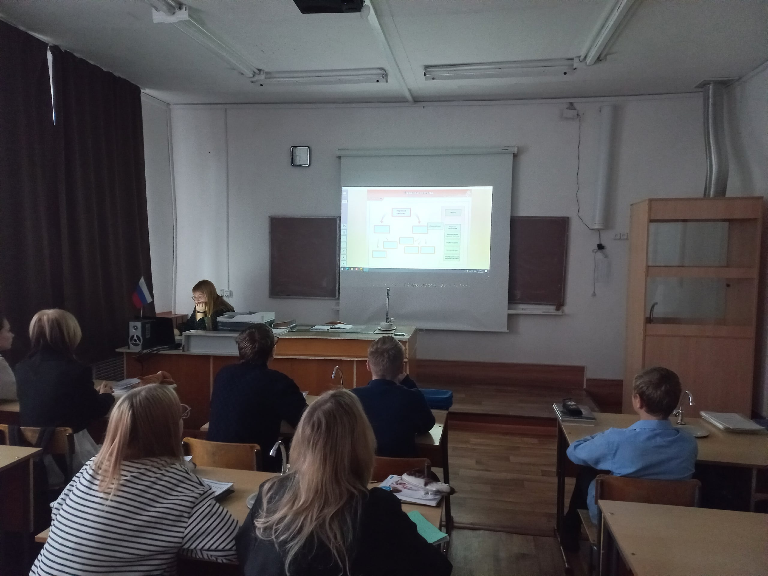 Строение и значение нервной системы.