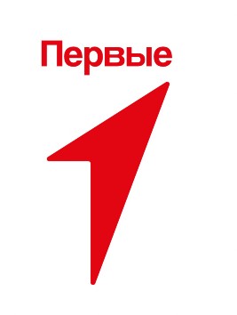 Новый год в Движении первых.
